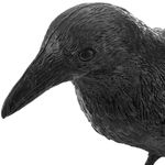 Ahuyentador de aves tipo estatua cuervo de pie 16 x 50 cm - AH04000 - 06