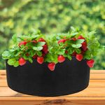 Bolsa de cultivo y crecimiento de plantas 65x30cm 4 unidades - JR08300 - 04