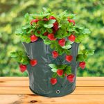 Bolsas de cultivo para jardín 35 x 45 cm 3 unidades - JR17100 - 04