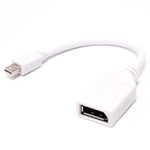Adaptador miniDisplayPort-macho a DisplayPort-hembra - YP07900 - 01