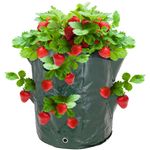 Bolsas de cultivo para jardín 35 x 45 cm 3 unidades - JR17100 - 03