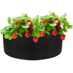 Bolsa de cultivo y crecimiento de plantas 65x30cm 4 unidades - JR08300 - 03