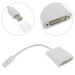 Adaptador miniDisplayPort-macho a DVI-hembra - YP07100 - 03