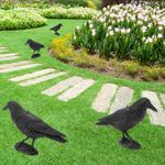 Ahuyentador de aves tipo estatua cuervo de pie 16 x 50 cm - AH04000 - 03