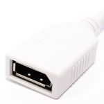 Adaptador miniDisplayPort-macho a DisplayPort-hembra - YP07900 - 03