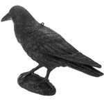 Ahuyentador de aves tipo estatua cuervo de pie 16 x 50 cm - AH04000 - 04
