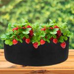 Bolsa de cultivo y crecimiento de plantas 76x26cm 4 unidades - JR08400 - 04