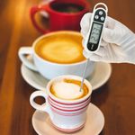 Termómetro digital con sonda rígida para cocina y alimentos DW-0211 - AO05600 - 05
