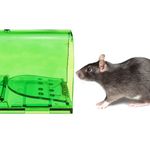 Trampa para ratas ratones roedores jaula de plástico pack de 2 unidades 60 x 170 x 64 mm - AR00200 - 03