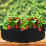 Bolsa de cultivo y crecimiento de plantas 125x30cm 3 unidades - JR08600 - 04