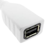 Cable mini DisplayPort hembra a DisplayPort macho de 2 m - YQ04200 - 03