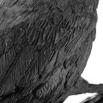 Ahuyentador de aves tipo estatua cuervo de pie 16 x 50 cm - AH04000 - 07