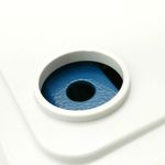 Balanza mostrador de sobremesa con bandeja de 300x205 mm Báscula de tienda de 30 Kg - BV08400 - 09