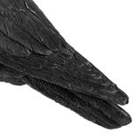 Ahuyentador de aves tipo estatua cuervo de pie 16 x 50 cm - AH04000 - 05