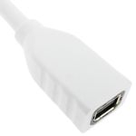 Cable mini DisplayPort hembra a DisplayPort macho de 2 m - YQ04200 - 08