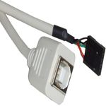 Cable USB 2.0 5-pin a BH 30cm (5P-H/B-H) - UB02200 - 01