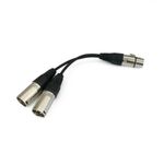 Duplicador de audio cannon XLR hembra a 2 XLR macho 3 pin - XO04400 - 01